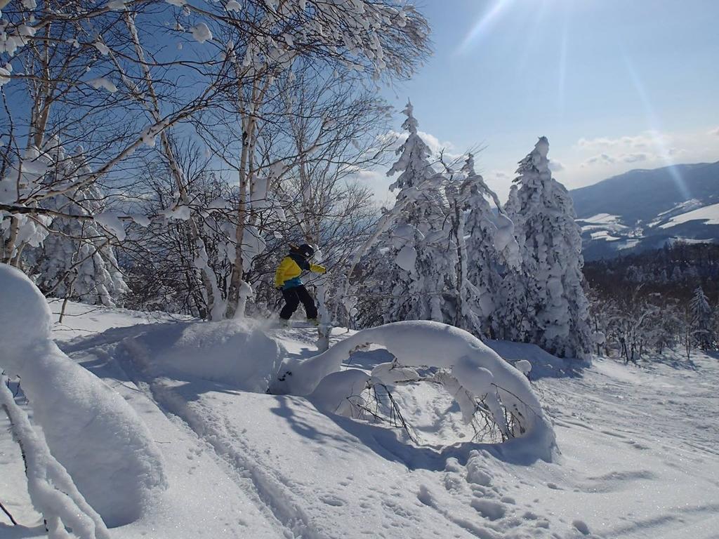 Hoshino Resorts Asahikawa Grand Hotel Kültér fotó